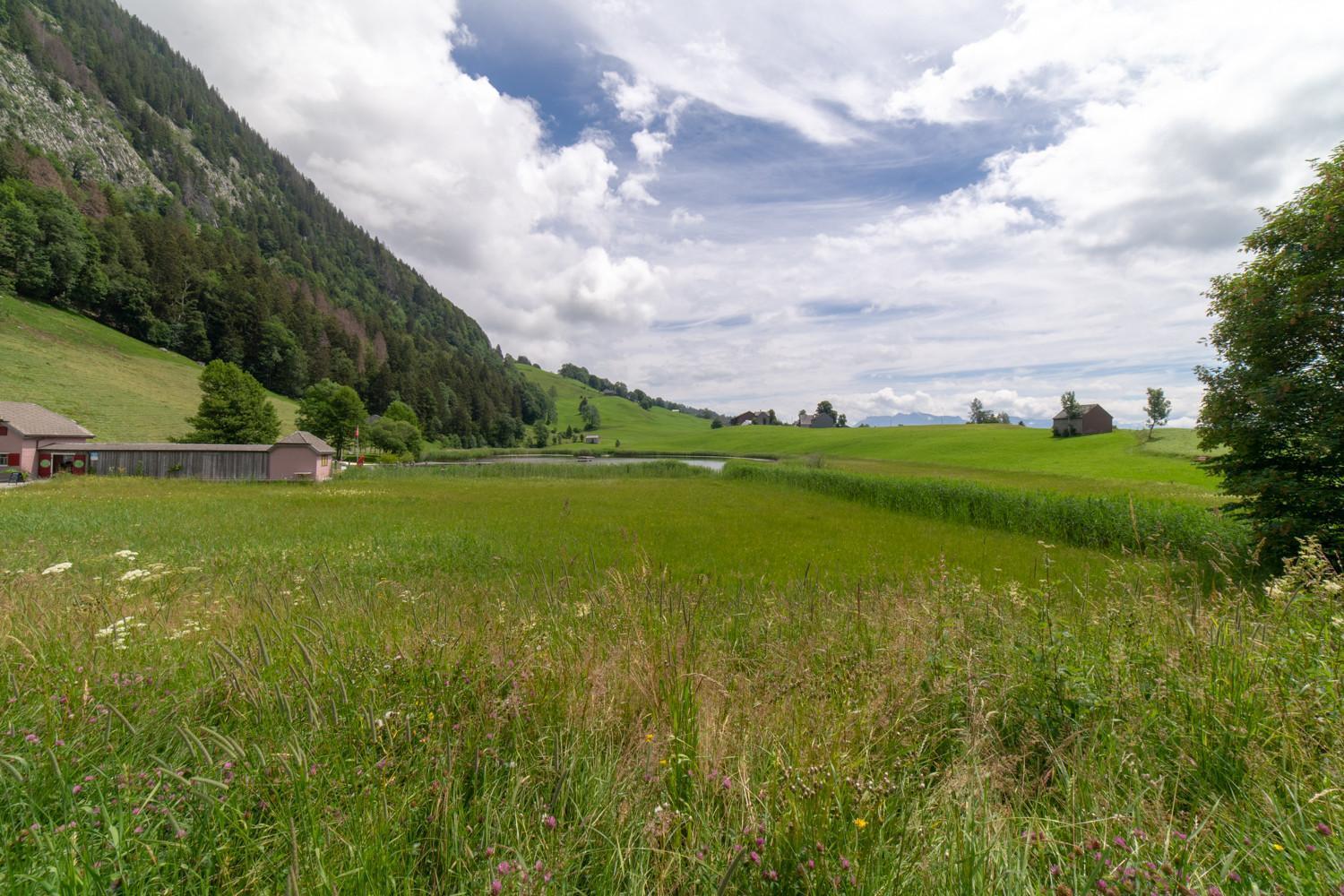 Wiesel Wildhaus Luaran gambar