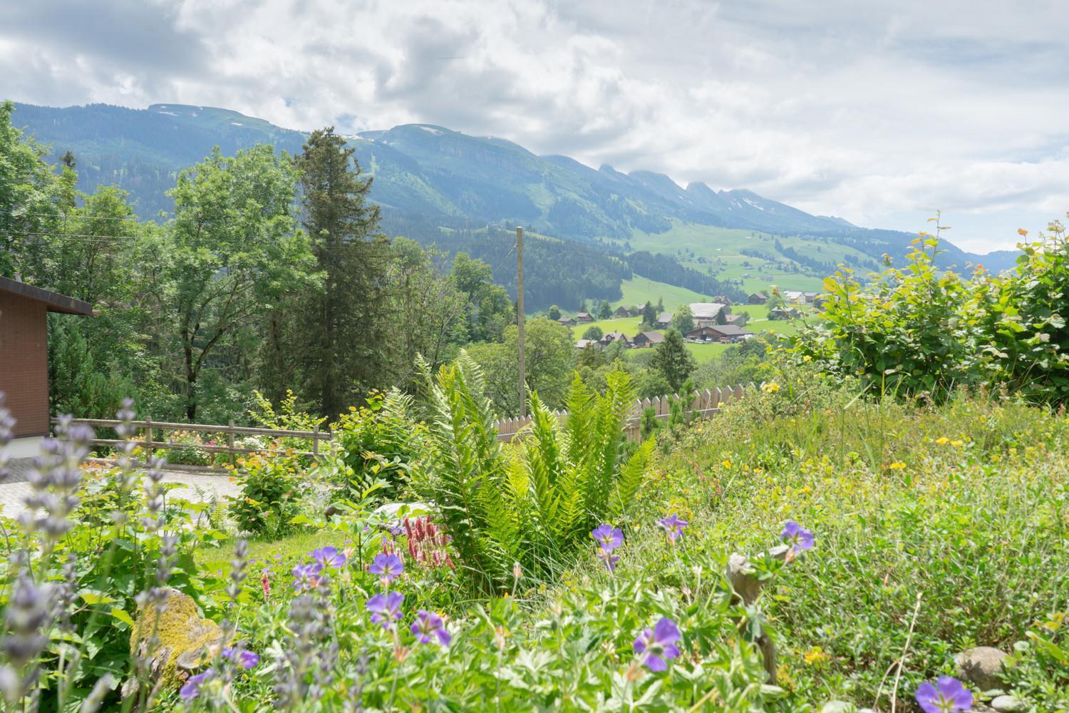 Wiesel Wildhaus Luaran gambar